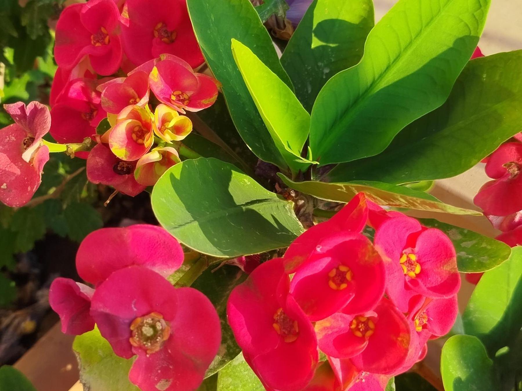 阿尔卡莫马里纳Profumo Di Mare 1别墅 外观 照片